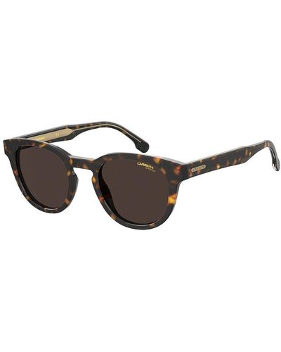 Carrera Ca252s 50mm Sunglasses - Brown