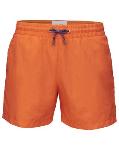 Swims Starboard Swim Short - Orange