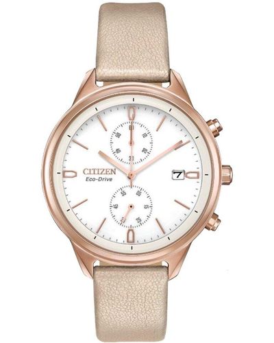 Citizen Chandler Watch - Multicolor