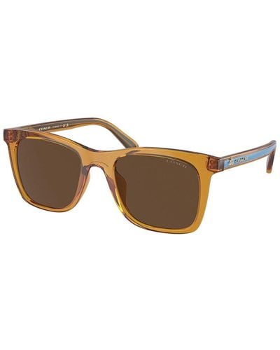 COACH Hc8374u 51mm Sunglasses - Brown