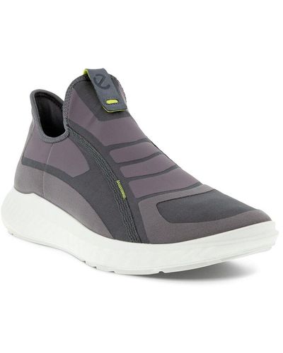 Ecco collin cheap purple