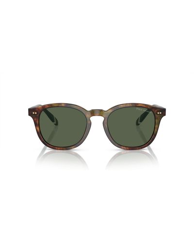 Polo Ralph Lauren Ph4206 Sunglasses - Green