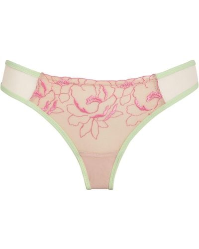 Dora Larsen Embroidered Tulle Lucille Thong - Pink