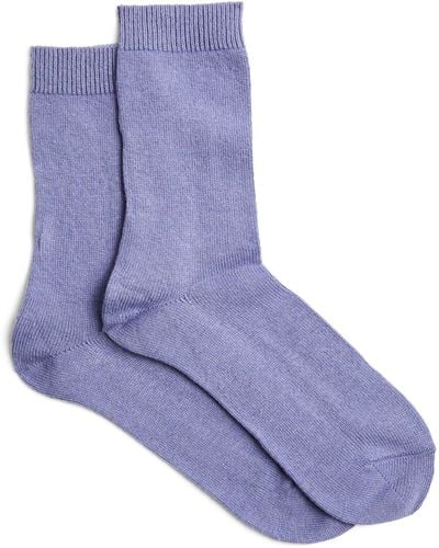 FALKE Cozy Wool Socks - Purple