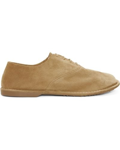 Loewe Suede Folio Lace-up Shoes - Brown
