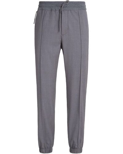 Zegna Wool High Performance Pants - Grey