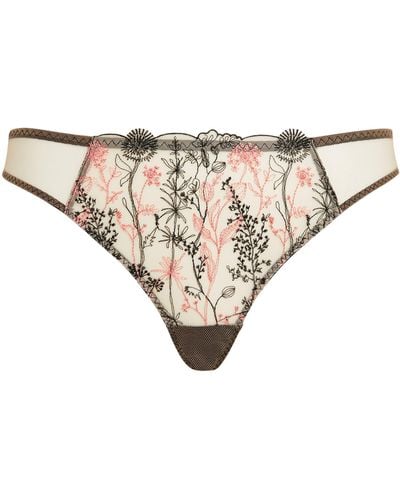 Myla Floral Embroidered Thong - Black