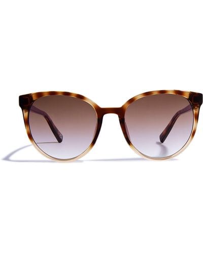 Le Specs Armada Sunglasses - Brown