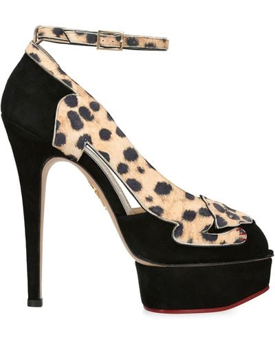 Charlotte Olympia Suede Leopardess Court Shoes 145 - Black