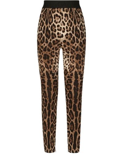 Dolce & Gabbana Leopard-print Leggings - Multicolor