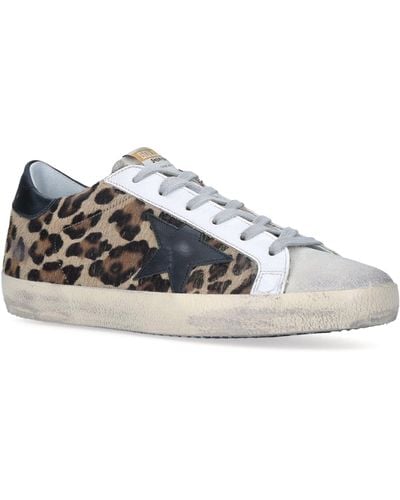 Golden Goose Superstar Distressed Leopard print Calf Hair trimmed