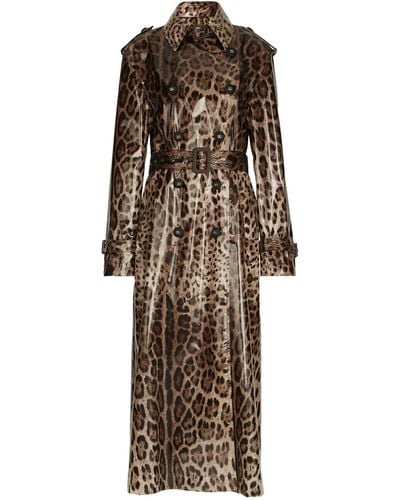 Dolce & Gabbana Leopard-Print Coated Sateen Trench Coat - Brown