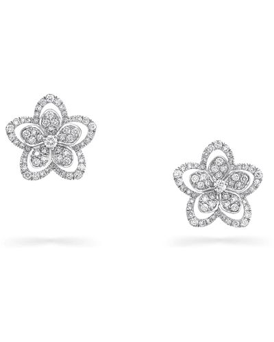 Graff White Gold And Diamond Wild Flower Stud Earrings - Metallic