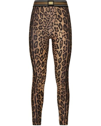 Dolce & Gabbana Leopard Print Leggings - Multicolour