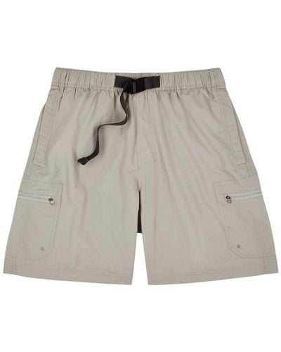 Columbia Mountaindal Nylon Shorts - Gray