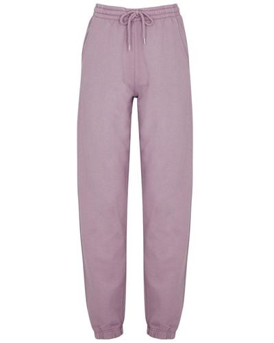 COLORFUL STANDARD Cotton Sweatpants - Purple