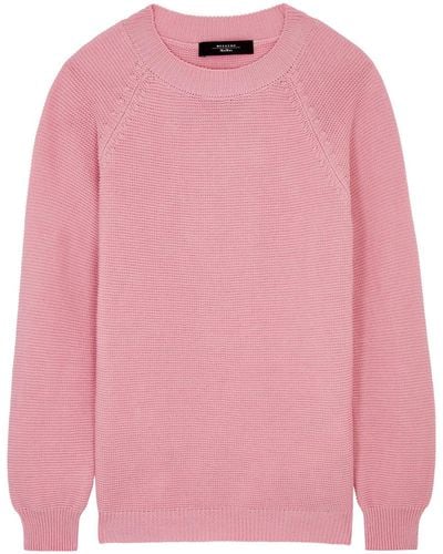 Weekend by Maxmara Linz Knitted Cotton Sweater - Pink