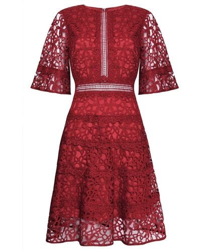 True Decadence Burgundy Lace Cut Work Mini Dress - Red