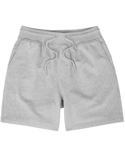 COLORFUL STANDARD Cotton Shorts - Grey
