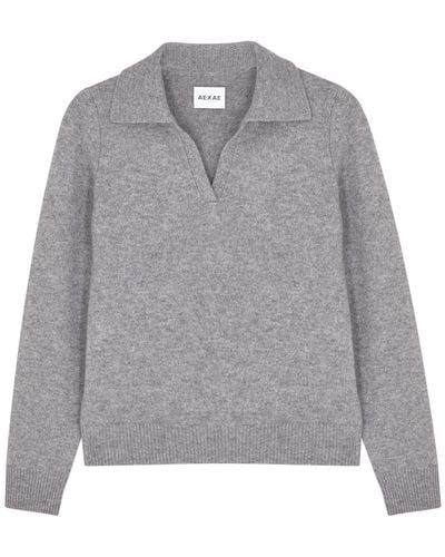 AEXAE Cashmere Polo Sweater - Gray