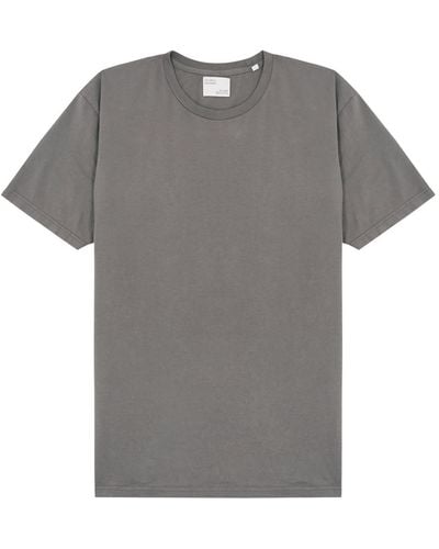 COLORFUL STANDARD Cotton T-shirt - Gray