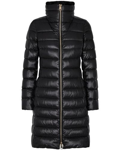 Herno Quilted Faux Fur-trimmed Shell Jacket - Black
