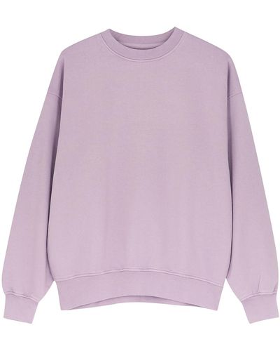 COLORFUL STANDARD Cotton Sweatshirt - Purple