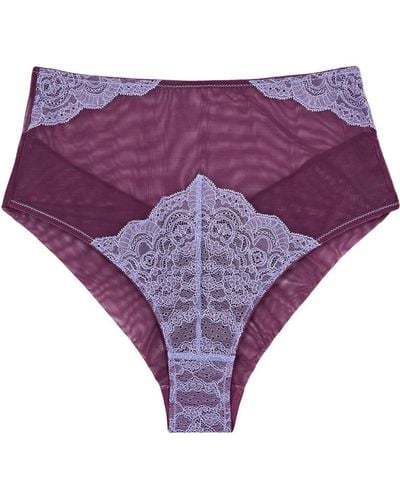 Dora Larsen Savannah High-waist Lace And Tulle Briefs - Purple