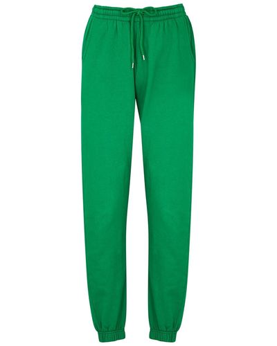 COLORFUL STANDARD Cotton Joggers - Green