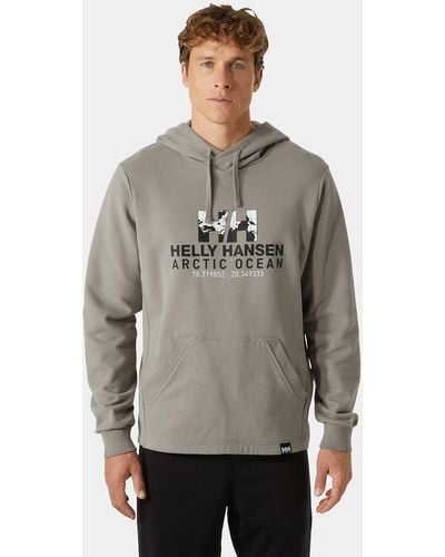 Helly Hansen Arctic Ocean Organic Cotton Hoodie - Grey