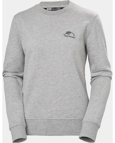Helly Hansen Pull ras du cou nord graphic gris