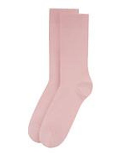 COLORFUL STANDARD Classic Organic Sock - Pink