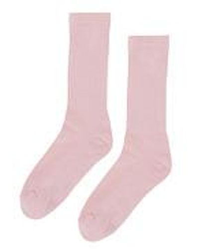 COLORFUL STANDARD Organic Active Sock - Pink