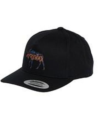 Pendleton Moose Embroidered Hat - Schwarz