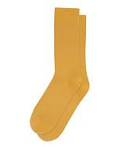 COLORFUL STANDARD Classic Organic Sock - Gelb
