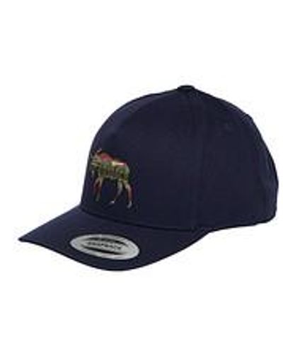 Pendleton Moose Embroidered Hat - Blau