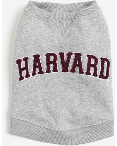 H&M Hunde-Sweatshirt mit Motiv - Grau
