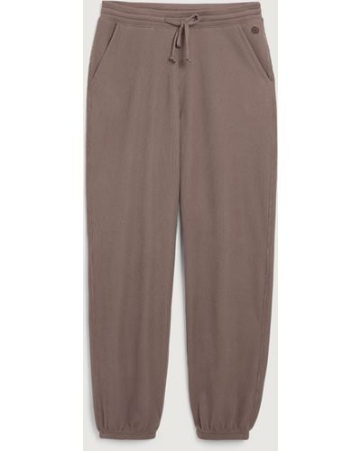 Hollister Gilly Hicks Cosy Micro Waffle Joggers - Brown