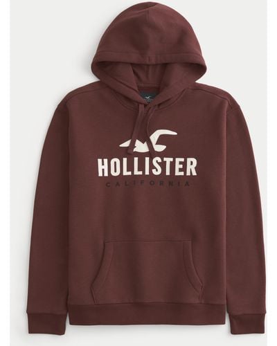 Hollister Logo Graphic Hoodie - Brown