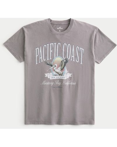 Hollister Oversized Monterey Bay Pacific Coast Graphic Tee - Grey