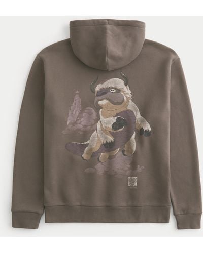 Hollister Relaxed Avatar The Last Airbender Graphic Hoodie - Brown