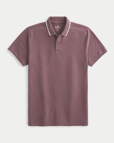 Hollister Tipped Icon Polo - Purple