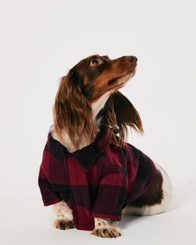 Hollister Gilly Hicks Flannel Pet Pj's - Red