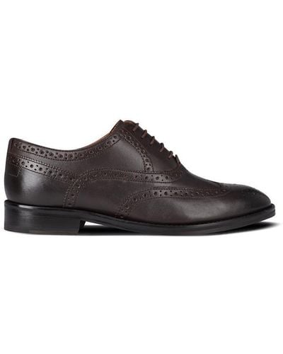 Ted Baker Amaiss Brogue Shoes - Brown