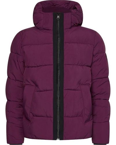 Calvin Klein Crinkle Nylon Puffer Jacket - Purple