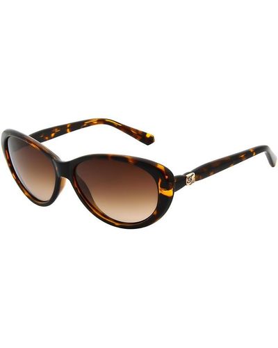 Ted Baker Cougar1315100 Ld99 - Brown