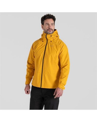 Craghoppers Creevey Jacket - Yellow