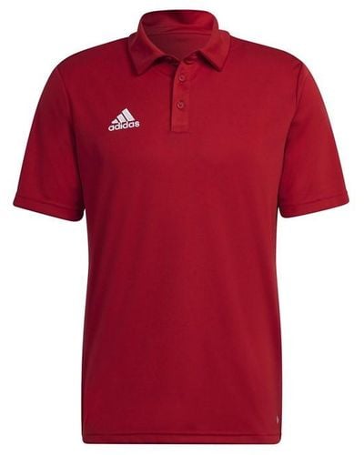 adidas Ent22 Polo Shirt - Red
