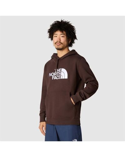 The North Face Tnf Drew Pullover Sn00 - Brown