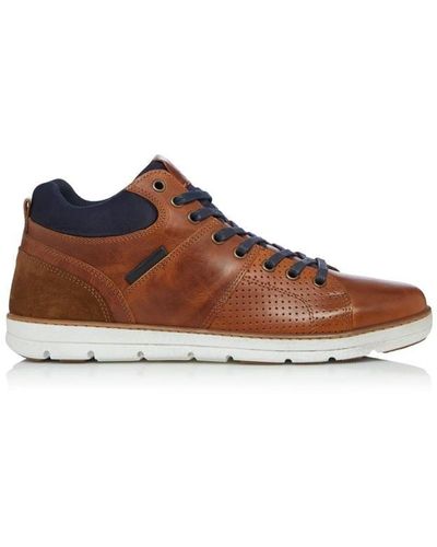 Dune Dune Stakes Trainers - Brown